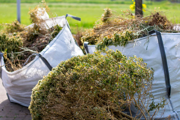 Shed Removal in Granger, WA